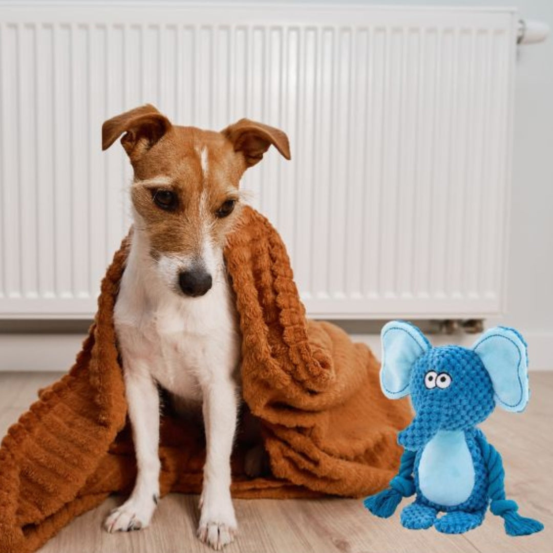 Wufflounge Elefant "Elmo"