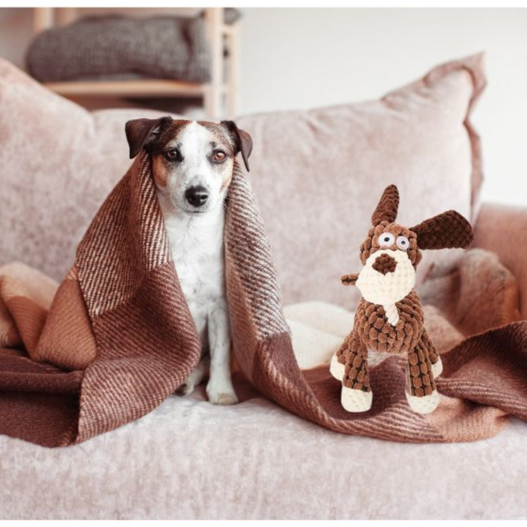 Wufflounge Hund "Harry"