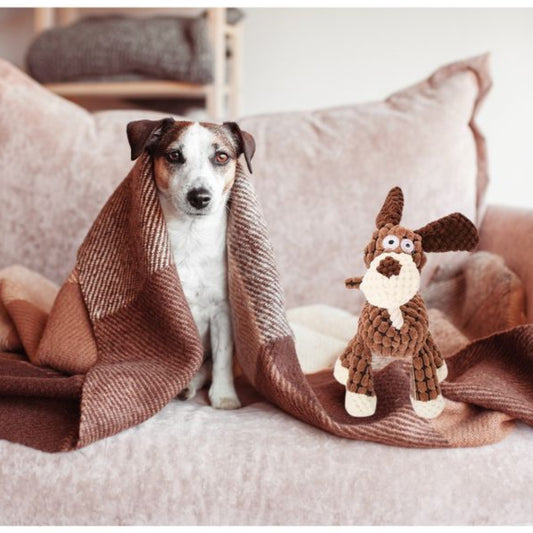 Wufflounge Hund "Harry"