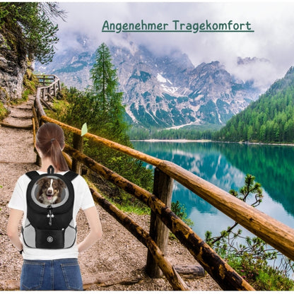 Wufflounge "🐾 RelaxPack"