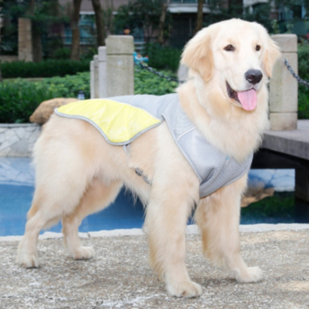 Wufflounge "KühlBuddy" Kühlweste Premium für heiße Tage