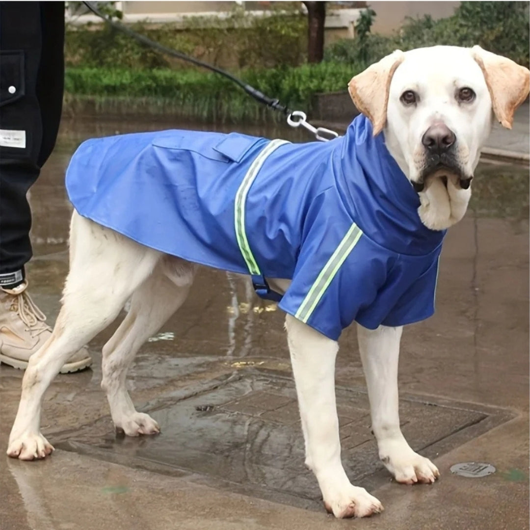 Wufflounge "RainRunner" Premium 🐶