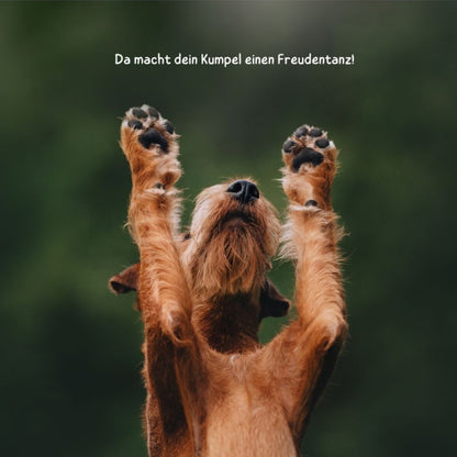 Wufflounge "PawLux" für schmerzfreie Pfotenpflege