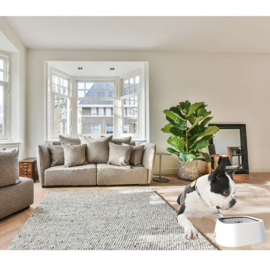 Wufflounge "AquaProof" Hundenapf