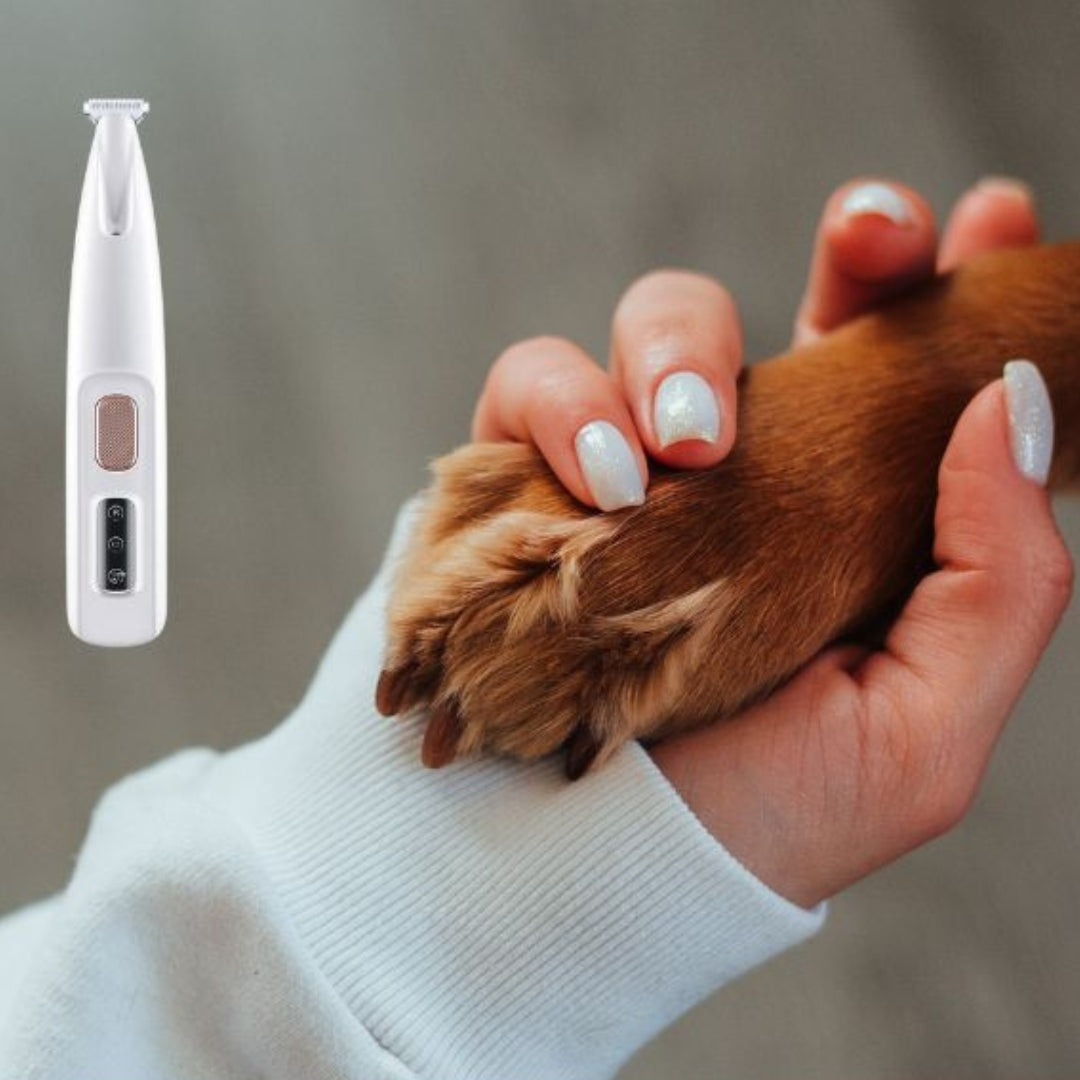 Wufflounge "PawLux" für schmerzfreie Pfotenpflege