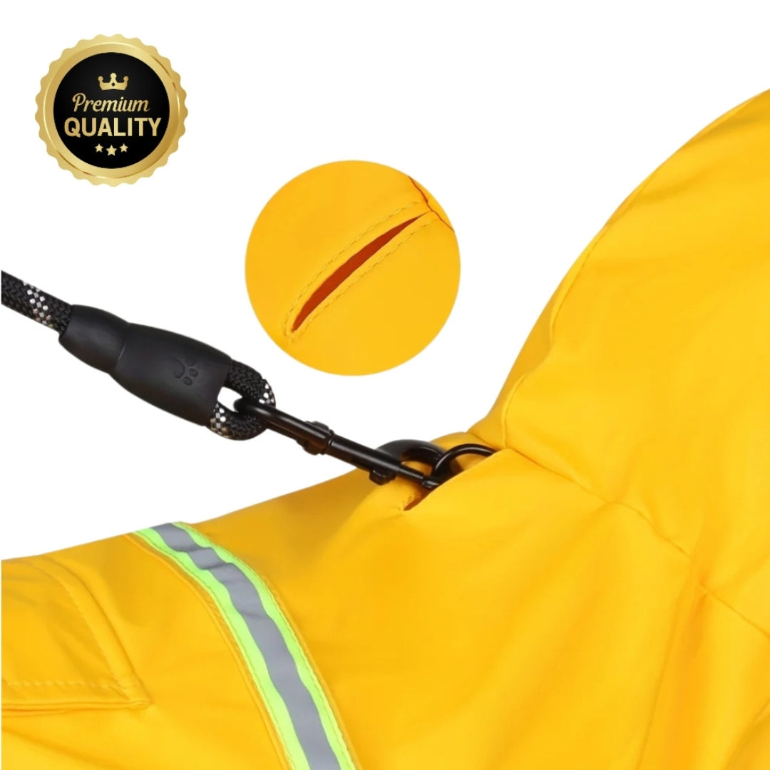 Wufflounge "RainRunner" Premium 🐶