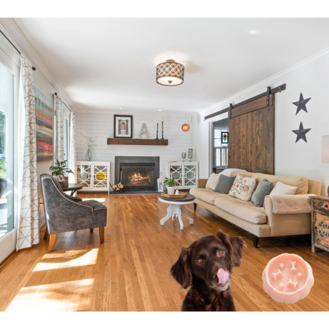 Wufflounge "AntiHaste" Hundeschlingnapf