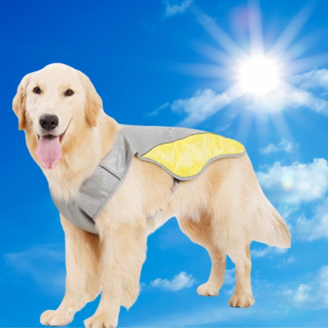 Wufflounge "KühlBuddy" Kühlweste Premium für heiße Tage