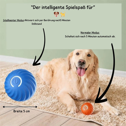 WuffLounge ZoomieBall 🐶 🔥