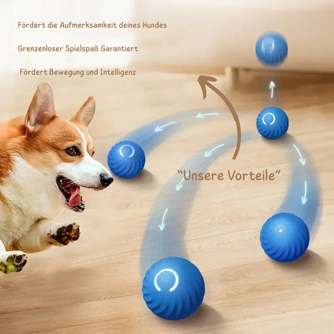 WuffLounge ZoomieBall 🐶 🔥