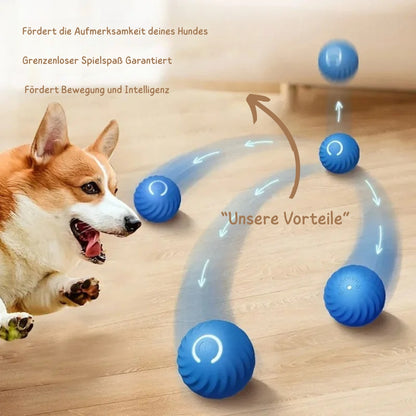 WuffLounge ZoomieBall 🐶 🔥