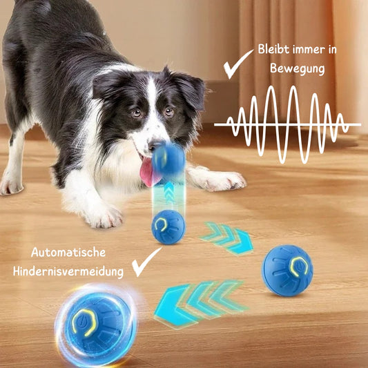 WuffLounge ZoomieBall 🐶 🔥