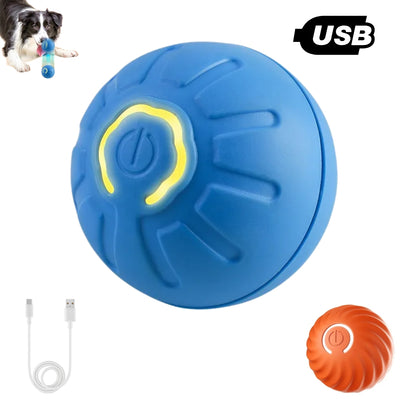 WuffLounge ZoomieBall 🐶 🔥