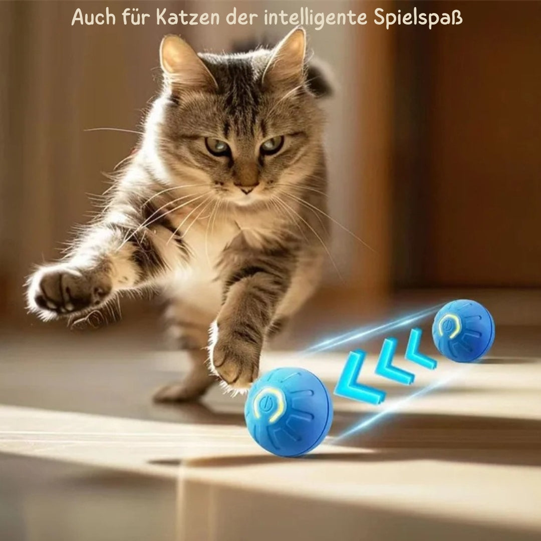 WuffLounge ZoomieBall 🐶 🔥