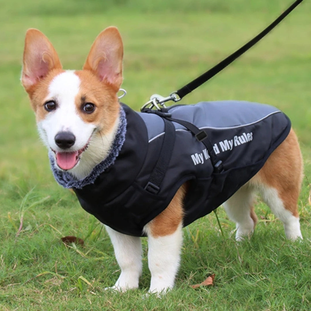 Wufflounge"WindGuard" Hundemantel Premium