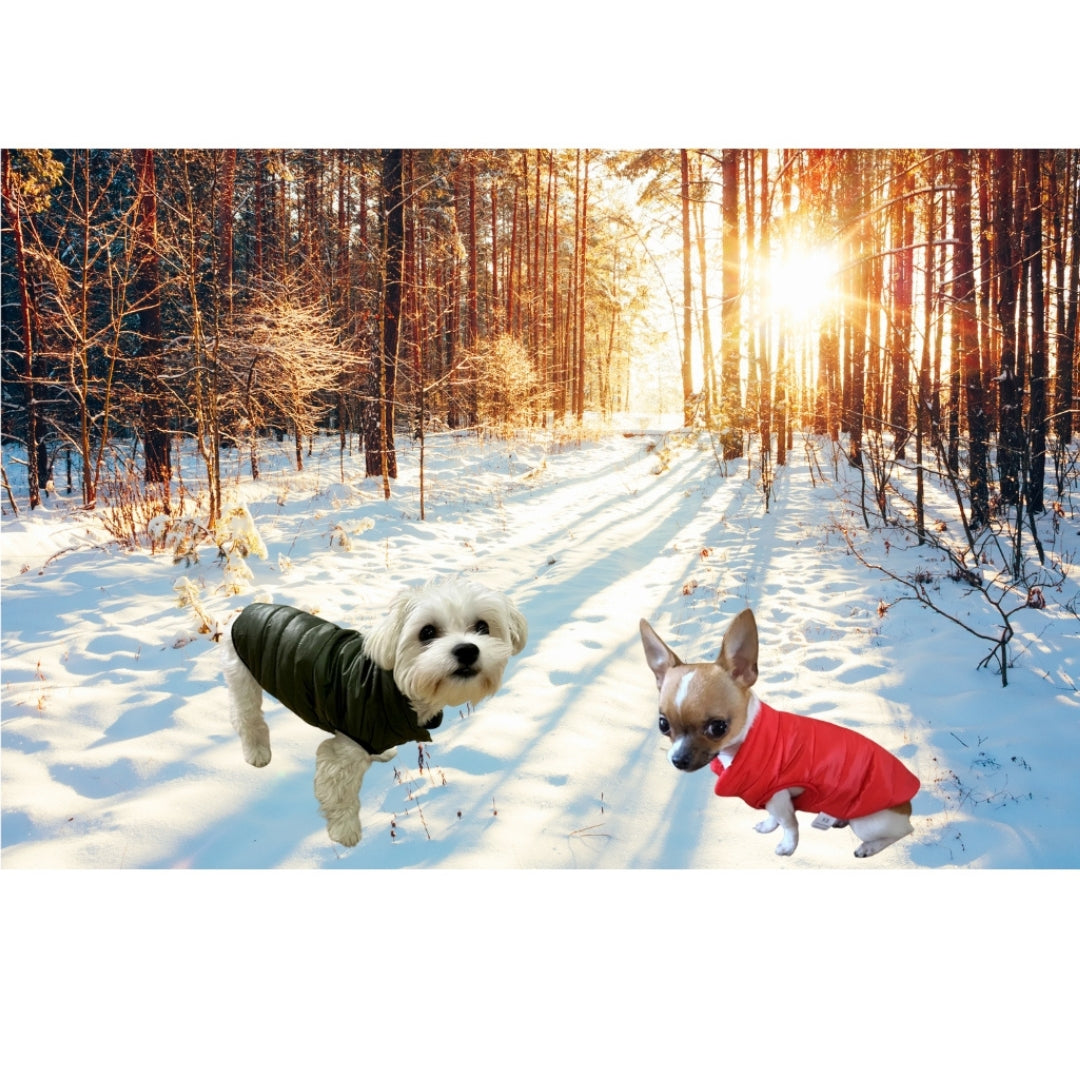 Wufflounge"WauziWarm" Wintermantel für kleinere Hunde.