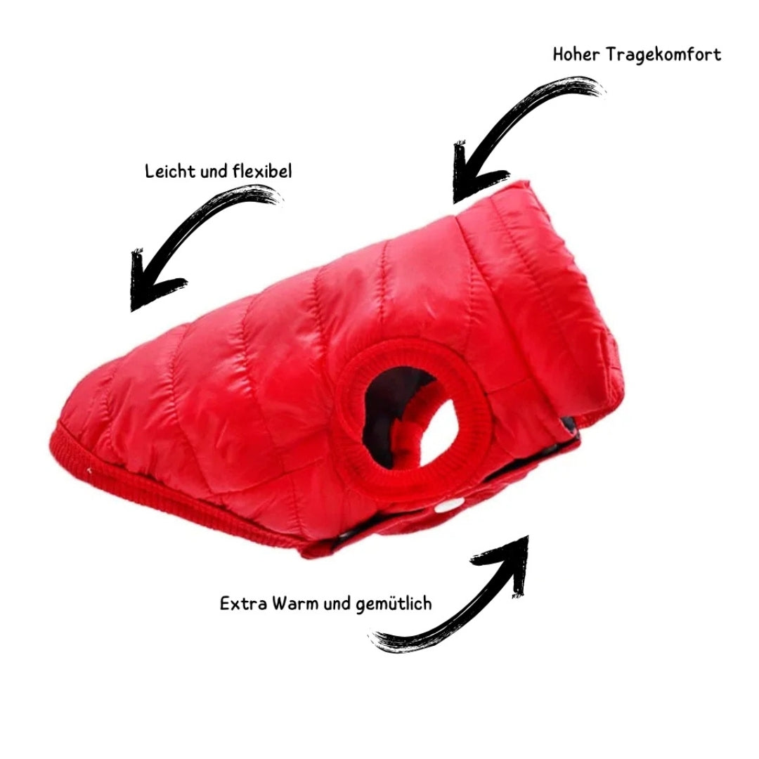 Wufflounge"WauziWarm" Wintermantel für kleinere Hunde.