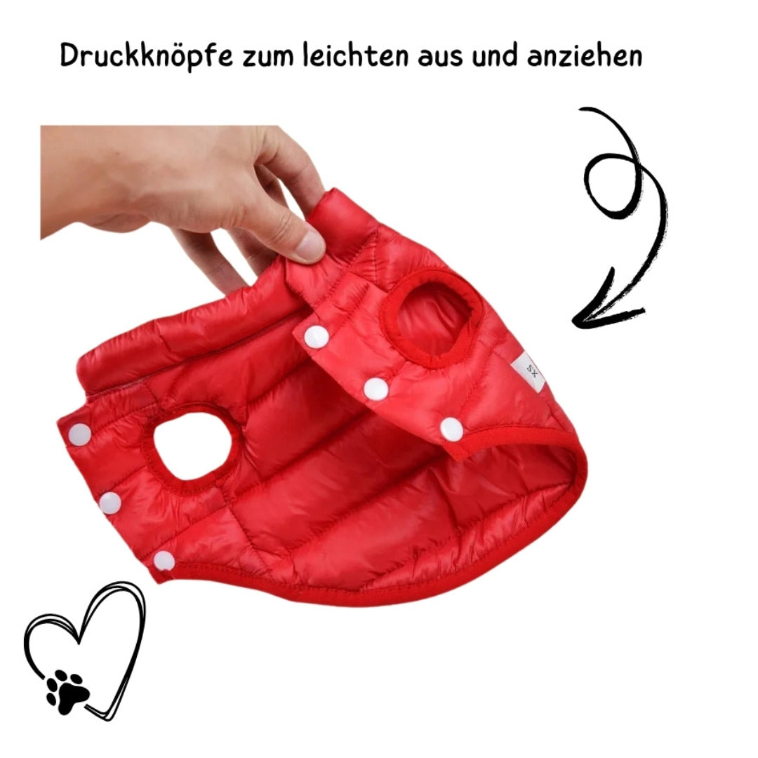 Wufflounge"WauziWarm" Wintermantel für kleinere Hunde.