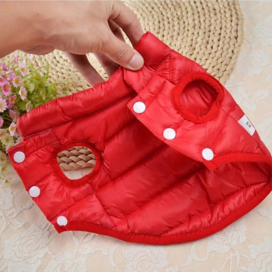 Wufflounge"WauziWarm" Wintermantel für kleinere Hunde.