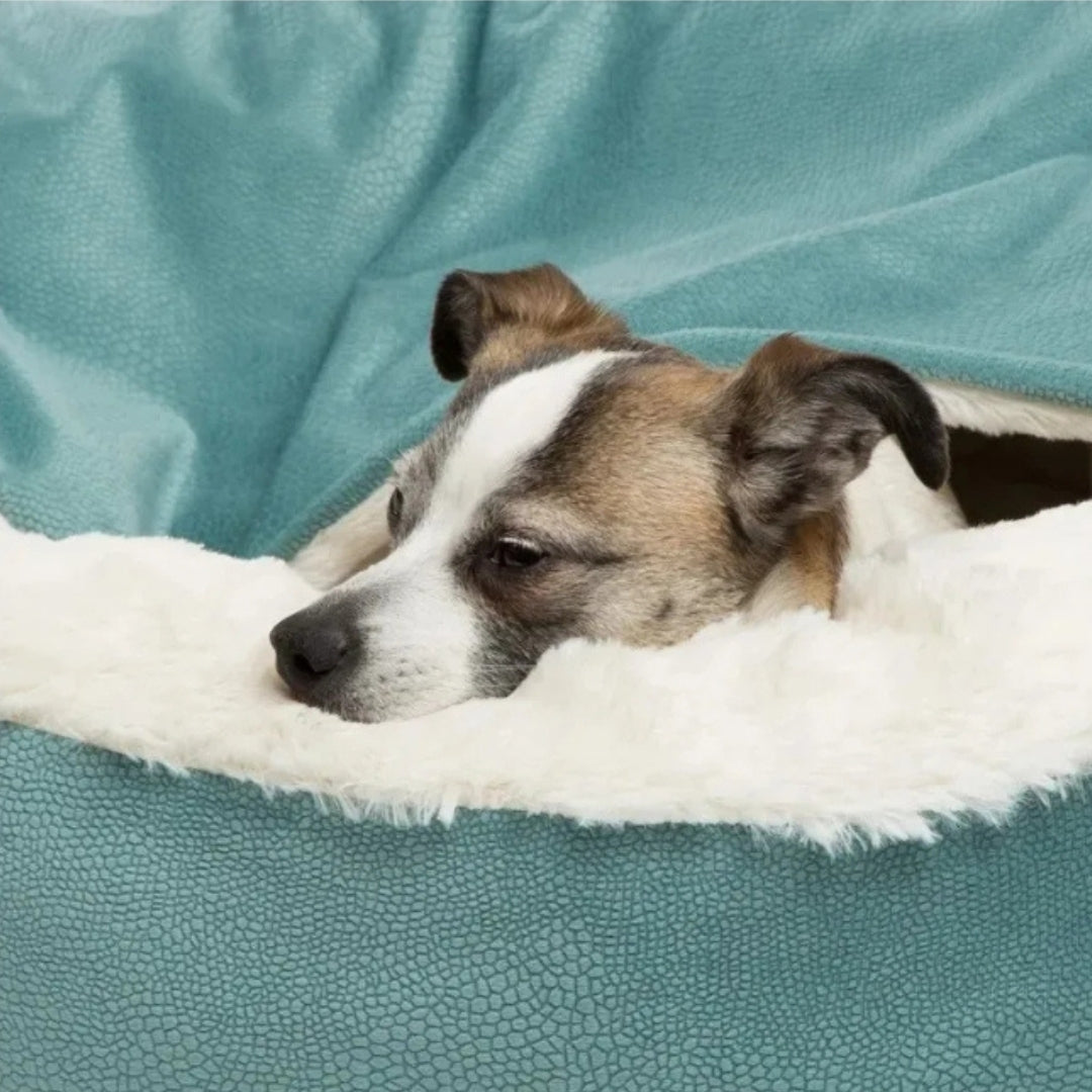 Wufflounge"🐶 Kuscheoase" Premium