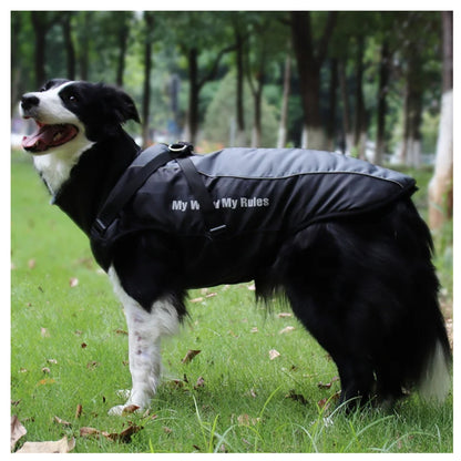 Wufflounge"WindGuard" Hundemantel Premium