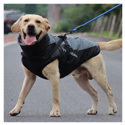 Wufflounge"WindGuard" Hundemantel Premium