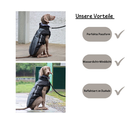 Wufflounge"WindGuard" Hundemantel Premium