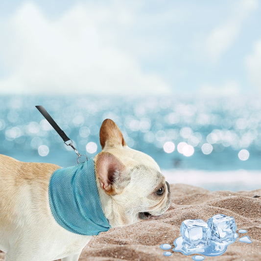 Wufflounge "Kühlino" Kühlhalstuch